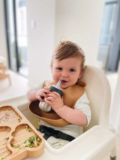 Lion & Lady Universal Bottle Straw