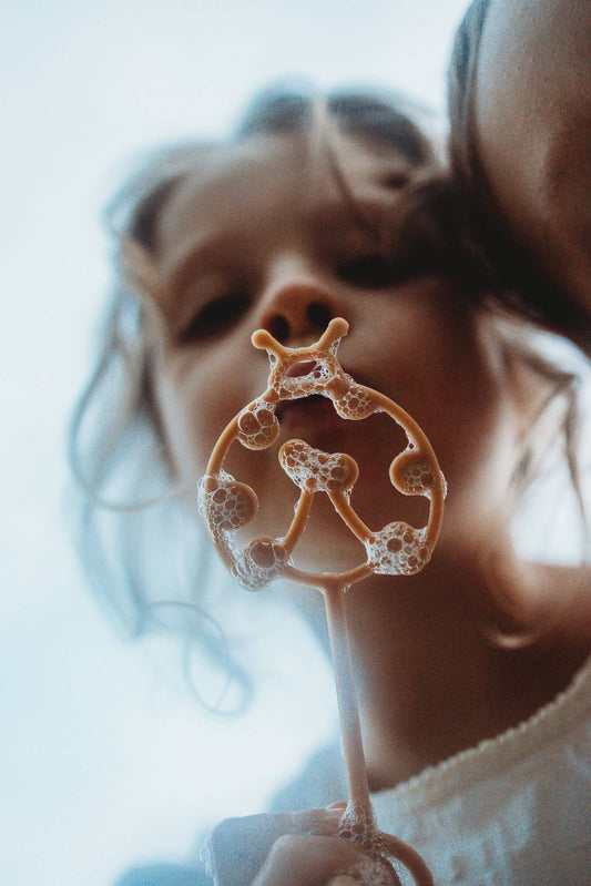 Ladybug Bubble Wand - Eco Sensory Toy