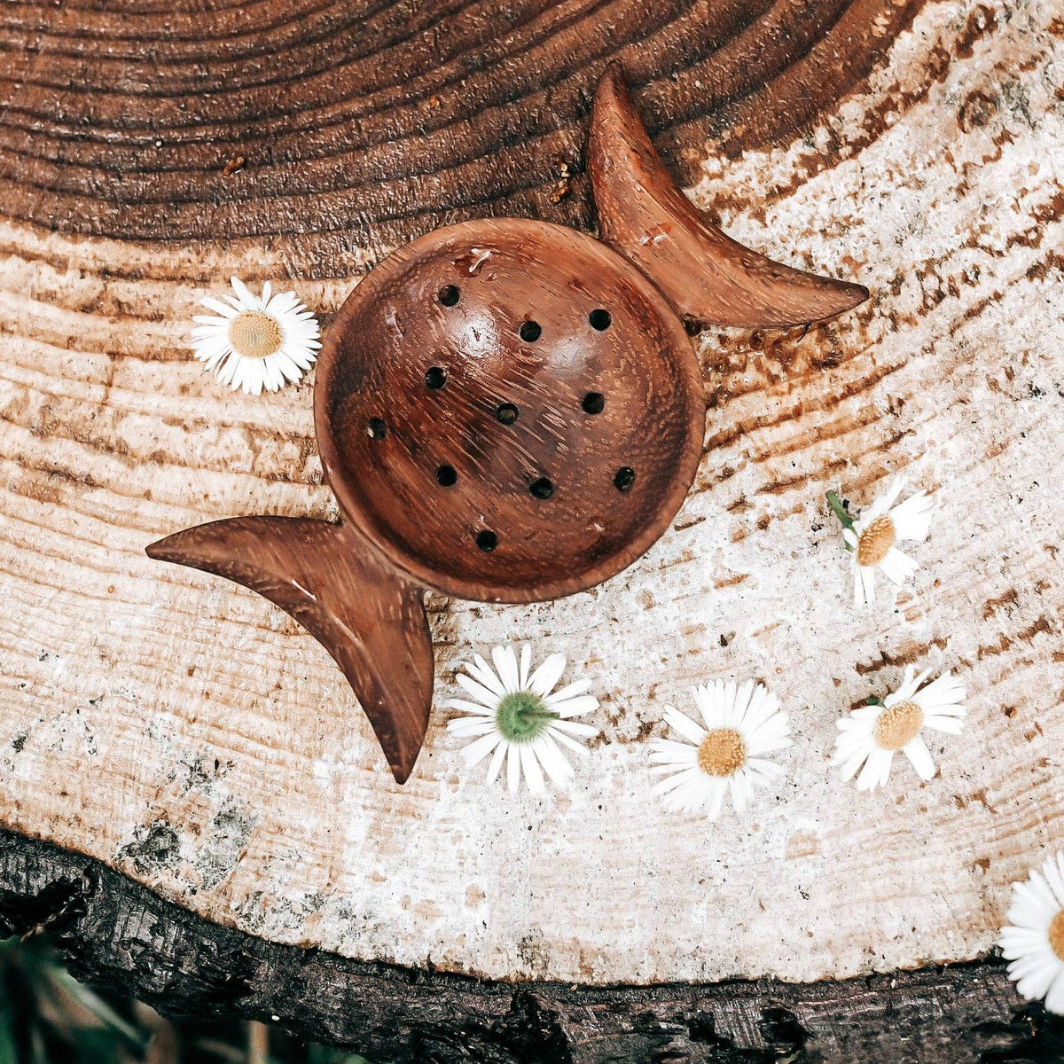 CRESCENT MOON STRAINER